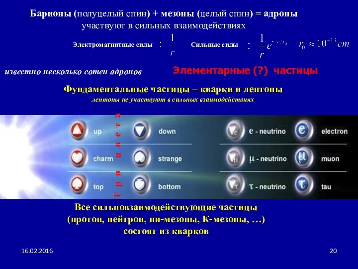 Фундаментальные частицы – кварки и лептоны лептоны не участвуют в