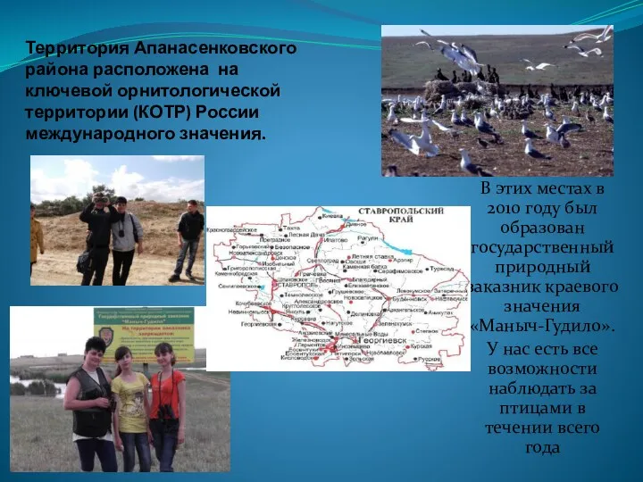 Территория Апанасенковского района расположена на ключевой орнитологической территории (КОТР) России