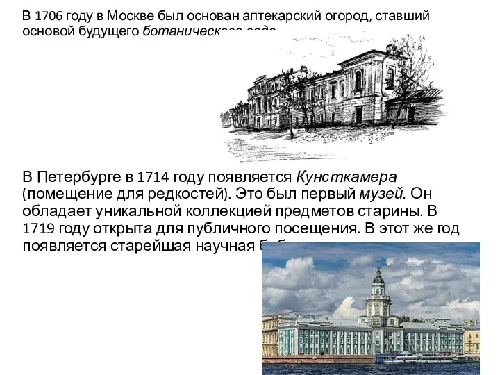 В 1706 году в Москве был основан аптекарский огород, ставший