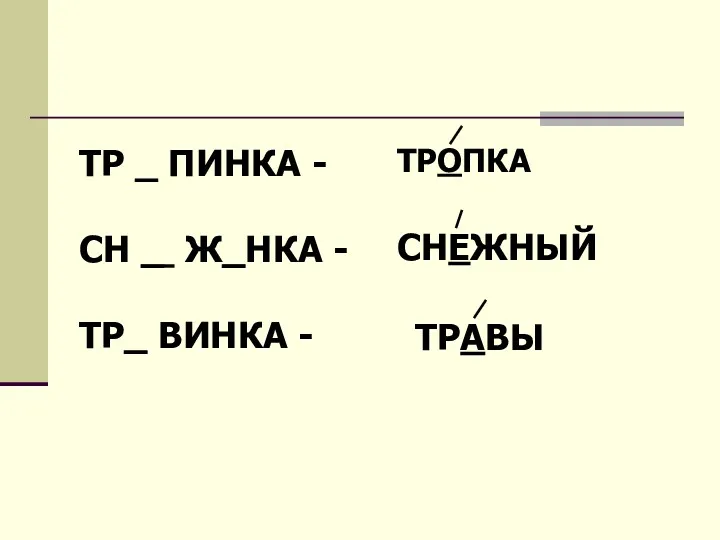 ТР _ ПИНКА - СН _ Ж_НКА - ТР_ ВИНКА - ТРОПКА ТРАВЫ СНЕЖНЫЙ