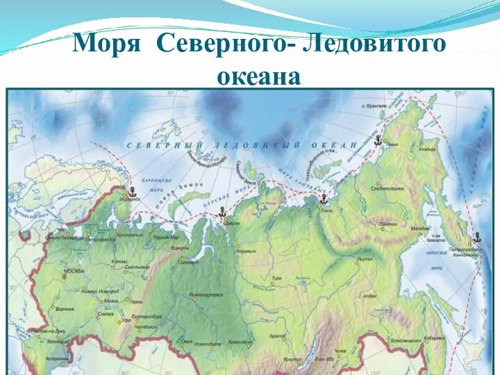 Моря Северного- Ледовитого океана