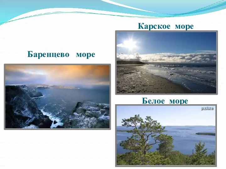 Белое море Баренцево море Карское море