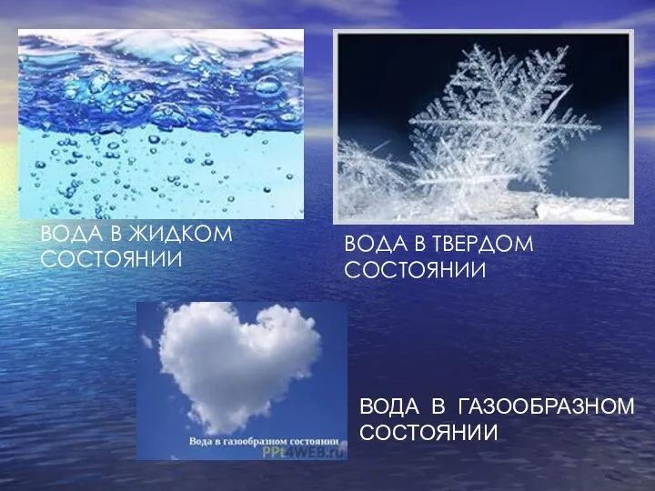 ВОДА В ЖИДКОМ СОСТОЯНИИ ВОДА В ТВЕРДОМ СОСТОЯНИИ ВОДА В ГАЗООБРАЗНОМ СОСТОЯНИИ