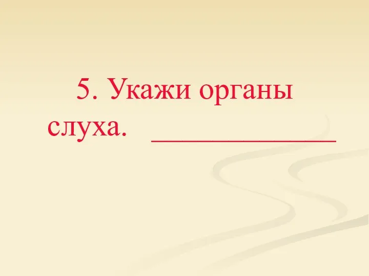 5. Укажи органы слуха. ____________