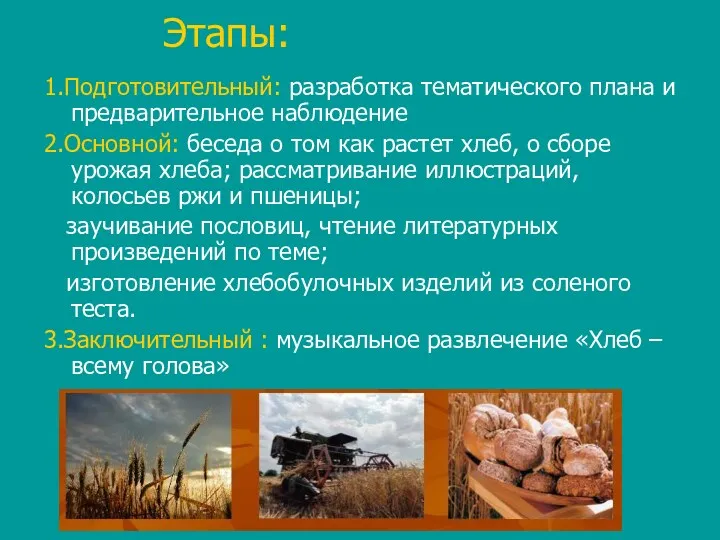 1.Подготовительный: разработка тематического плана и предварительное наблюдение 2.Основной: беседа о