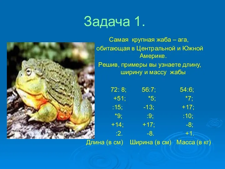 Задача 1. Самая крупная жаба – ага, обитающая в Центральной и Южной Америке.