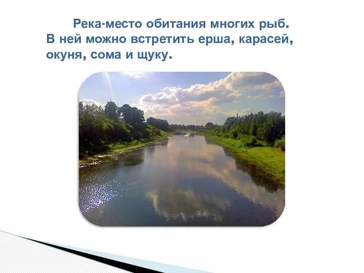 Река-место обитания многих рыб. В ней можно встретить ерша, карасей, окуня, сома и щуку.