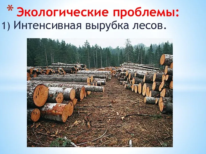 1) Интенсивная вырубка лесов. Экологические проблемы: