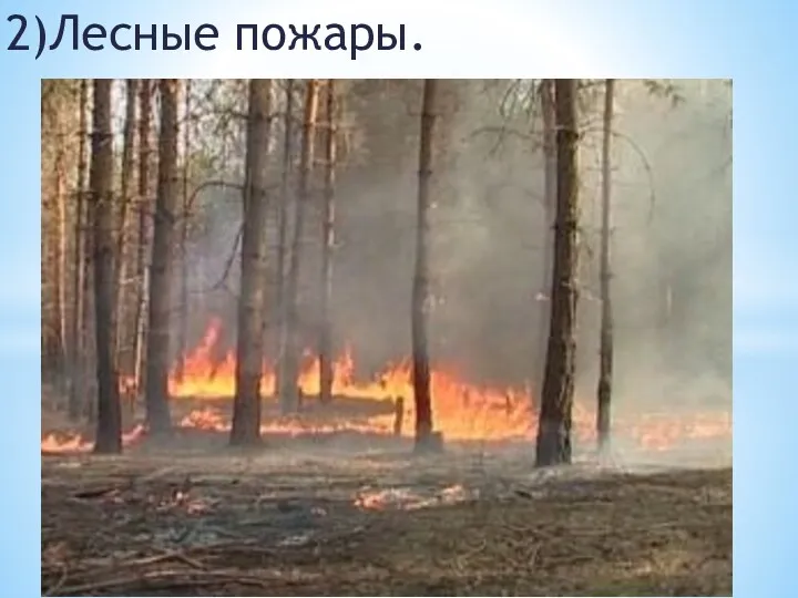2)Лесные пожары.