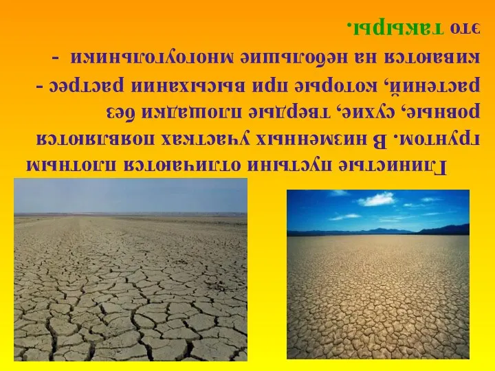 Глинистые пустыни отличаются плотным грунтом. В низменных участках появляются ровные,