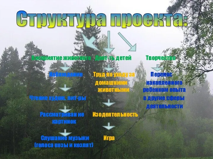 Структура проекта: Восприятие животного Деят-ть детей Творчество Наблюдение Труд по