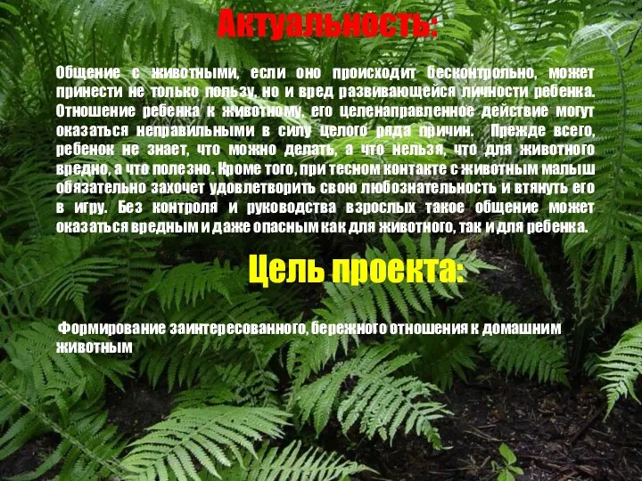 Актуальность: Общение с животными, если оно происходит бесконтрольно, может принести