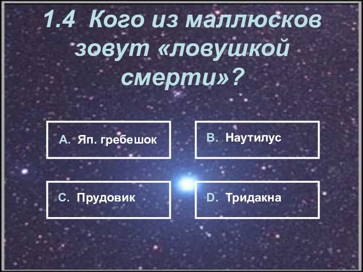 1.4 Кого из маллюсков зовут «ловушкой смерти»? А. Яп. гребешок В. Наутилус С. Прудовик D. Тридакна