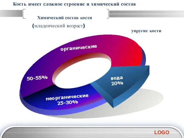 (младенческий возраст) упругие кости Кость имеет сложное строение и химический состав Химический состав кости