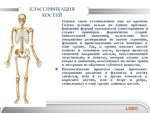 КЛАССИФИКАЦИЯ КОСТЕЙ Однако такое установленное еще во времена Галена деление