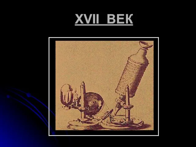 XVII ВЕК