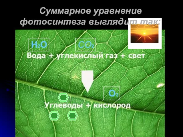 СО2 Н2О О2 Суммарное уравнение фотосинтеза выглядит так: