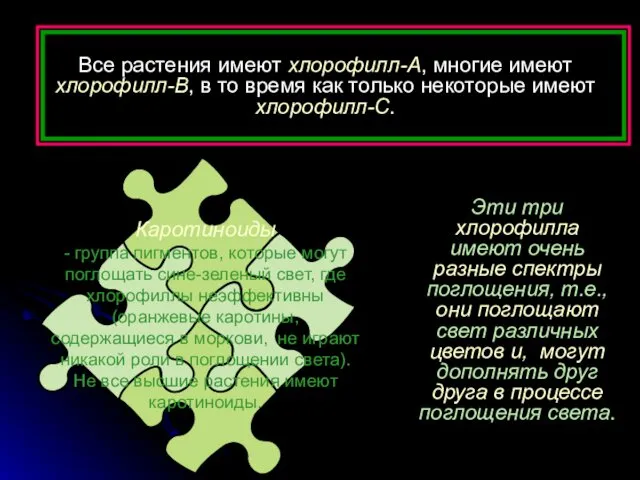 Эти три хлорофилла имеют очень разные спектры поглощения, т.e., они