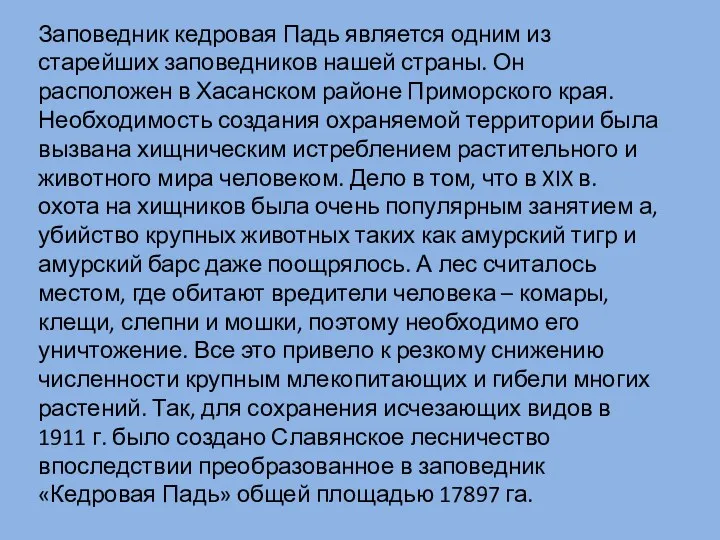 Заповедник кедровая Падь является одним из старейших заповедников нашей страны.