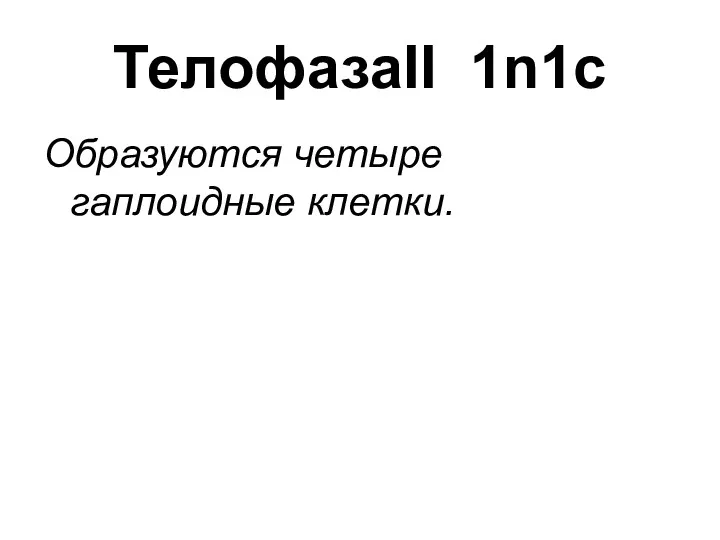 ТелофазаII 1n1c Образуются четыре гаплоидные клетки.
