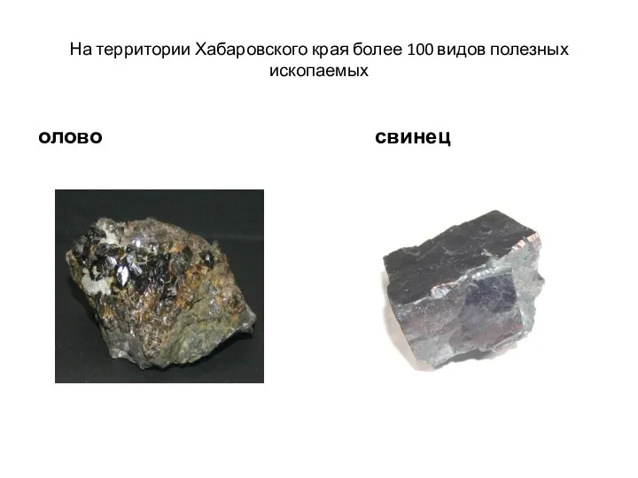 На территории Хабаровского края более 100 видов полезных ископаемых олово свинец