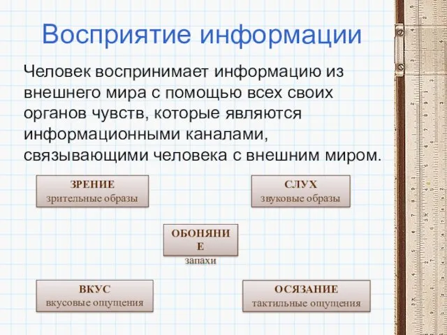 Восприятие информации Человек воспринимает информацию из внешнего мира с помощью