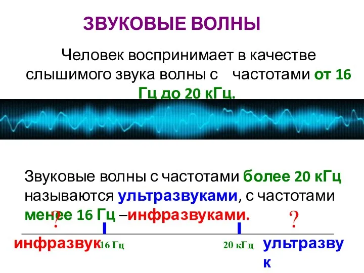 Человек воспринимает в качестве слышимого звука волны с частотами от 16 Гц до