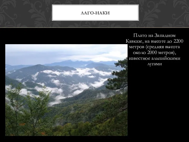 Плато на Западном Кавказе, на высоте до 2200 метров (средняя