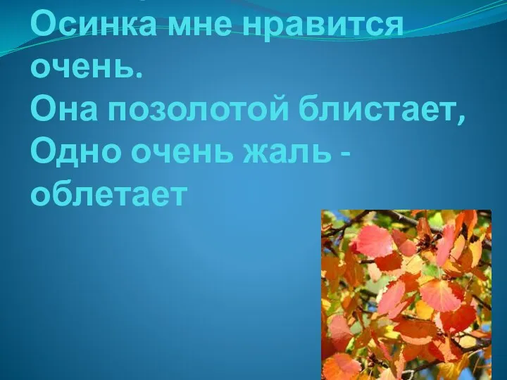 Осинку окрасила осень. Осинка мне нравится очень. Она позолотой блистает, Одно очень жаль - облетает