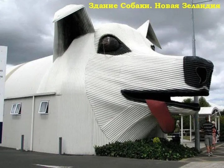 Здание Собаки. Новая Зеландия