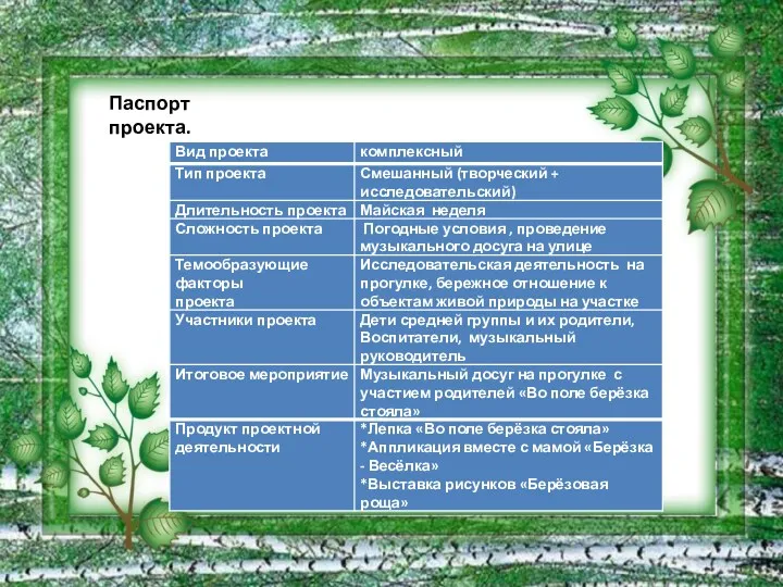 Паспорт проекта.