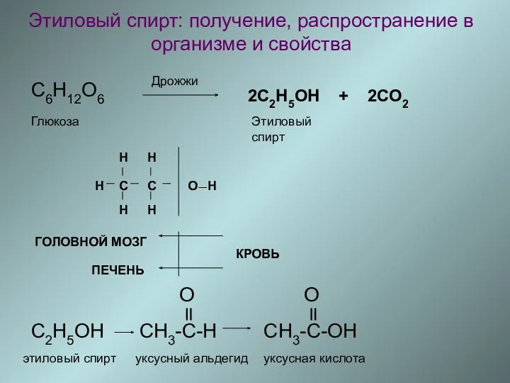Этиловый спирт: получение, распространение в организме и свойства C6H12O6 Дрожжи