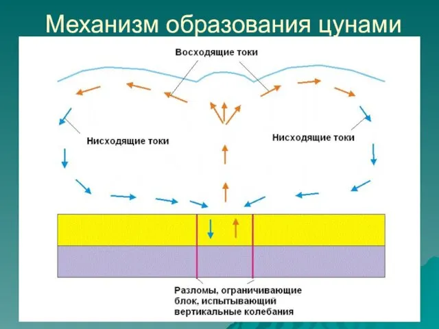 Механизм образования цунами