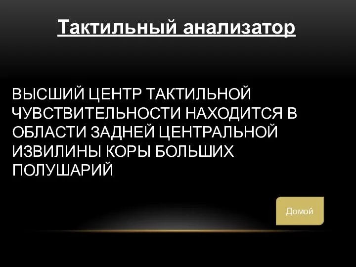 ВЫСШИЙ ЦЕНТР ТАКТИЛЬНОЙ ЧУВСТВИТЕЛЬНОСТИ НАХОДИТСЯ В ОБЛАСТИ ЗАДНЕЙ ЦЕНТРАЛЬНОЙ ИЗВИЛИНЫ КОРЫ БОЛЬШИХ ПОЛУШАРИЙ Тактильный анализатор Домой