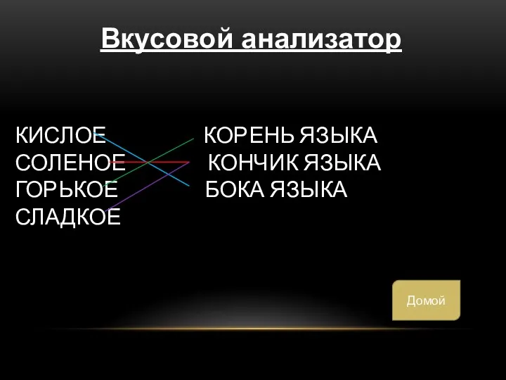 Кислое Корень языка Соленое Кончик языка Горькое Бока языка Сладкое Вкусовой анализатор Домой