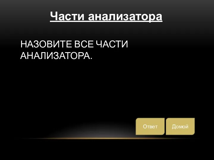 Назовите все части анализатора. Части анализатора Домой Ответ