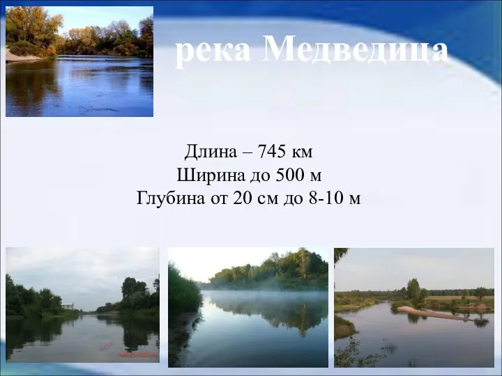 река Медведица Длина – 745 км Ширина до 500 м