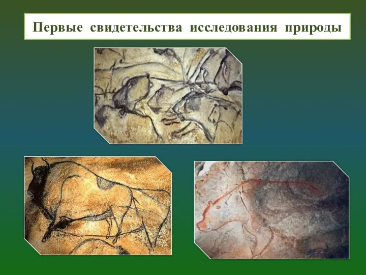 Первые свидетельства исследования природы