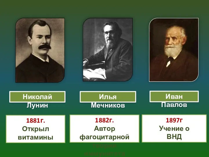 Илья Мечников 1882г. Автор фагоцитарной теории иммунитета Николай Лунин 1881г.