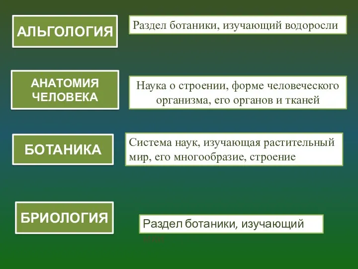 АЛЬГОЛОГИЯ Наука о строении, форме человеческого организма, его органов и