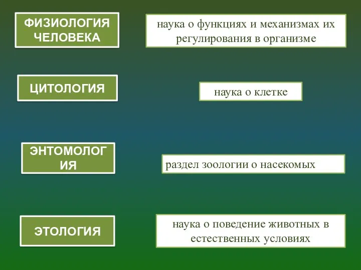 ЦИТОЛОГИЯ наука о клетке ЭТОЛОГИЯ наука о поведение животных в