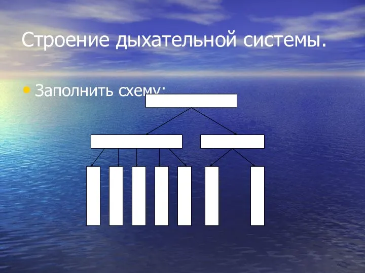 Строение дыхательной системы. Заполнить схему: