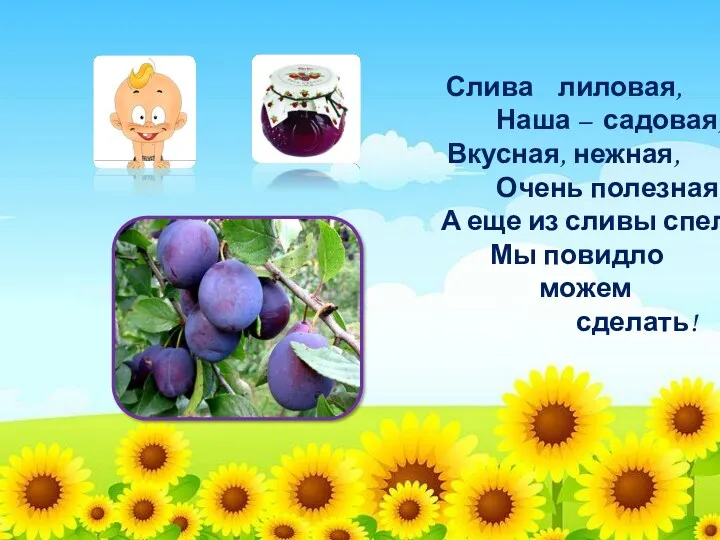 Слива лиловая, Наша – садовая, Вкусная, нежная, Очень полезная. А