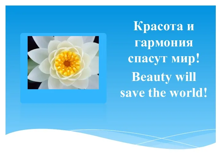 Красота и гармония спасут мир! Beauty will save the world!