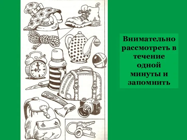 Внимательно рассмотреть в течение одной минуты и запомнить