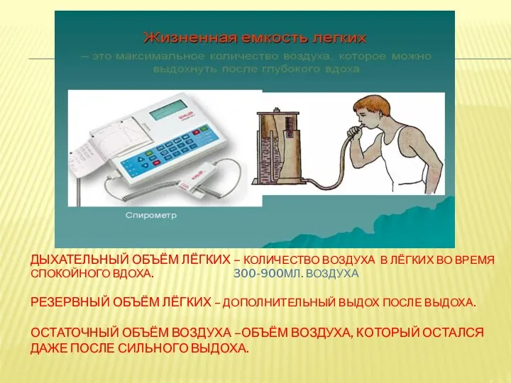 Дыхательный объём лёгких – количество воздуха в лёгких во время