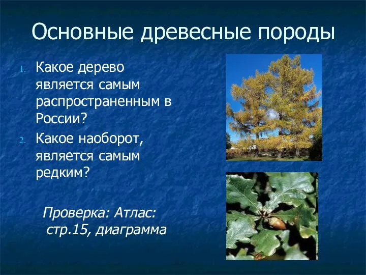Основные древесные породы Какое дерево является самым распространенным в России? Какое наоборот, является
