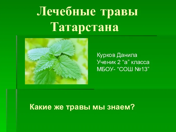 Курков Данила . Лечебные травы Татарстана.