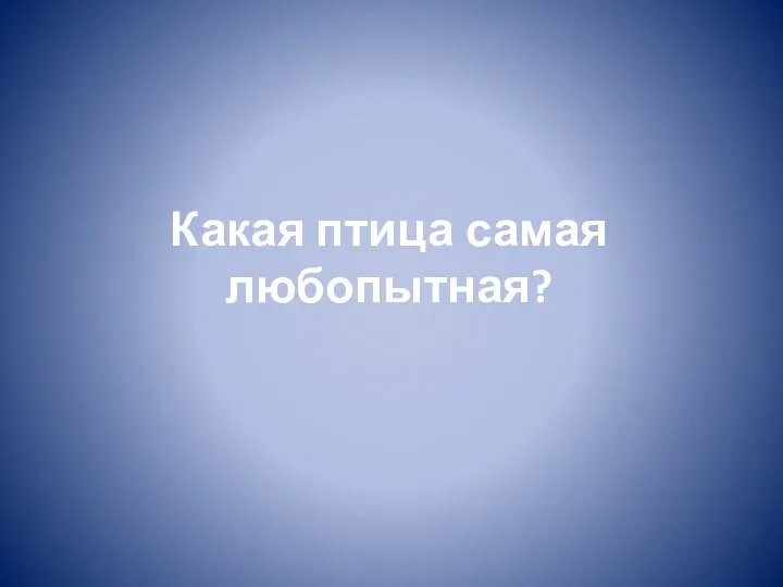 Какая птица самая любопытная?