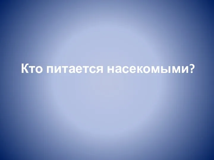 Кто питается насекомыми?